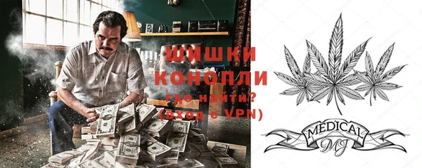 молекула духа Балахна