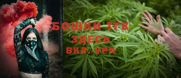 молекула духа Балахна