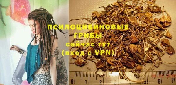 молекула духа Балахна