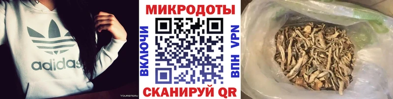 Галлюциногенные грибы Psilocybe  Малмыж 